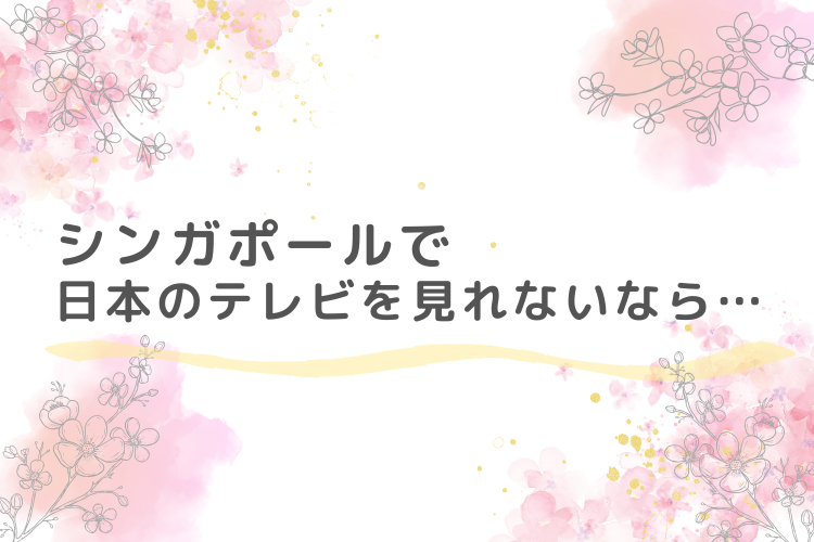 どうしてもシンガポールで日本のテレビ番組を見ることができないときは…